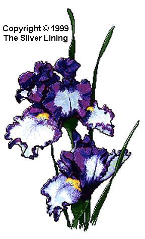 sl062