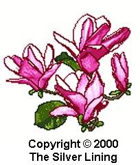 sl074