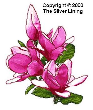sl075